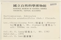 大熱澤蘚藏品圖，第2張