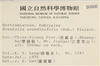 大熱澤蘚藏品圖，第2張