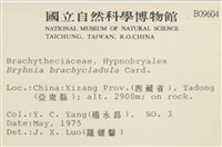 登錄號:B00009604藏品圖，第2張