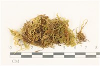 登錄號:B00009605藏品圖，第1張