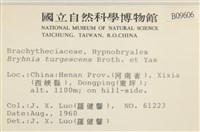 登錄號:B00009606藏品圖，第2張