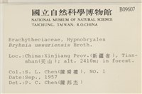 登錄號:B00009607藏品圖，第2張