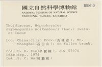 毛羽蘚藏品圖，第2張