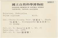 高山真蘚藏品圖，第2張