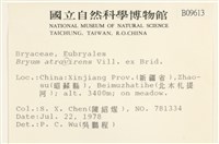 登錄號:B00009613藏品圖，第2張