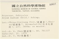 登錄號:B00009615藏品圖，第2張