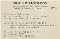 登錄號:B00009616藏品圖，第2張