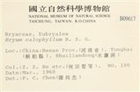 登錄號:B00009617藏品圖，第2張