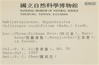 濕原蘚藏品圖，第2張