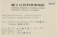 登錄號:B00009622藏品圖，第2張