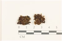 登錄號:B00009623藏品圖，第1張