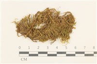 登錄號:B00009624藏品圖，第1張