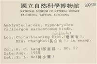 蔓枝濕原蘚藏品圖，第2張