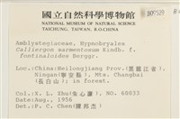 登錄號:B00009629藏品圖，第2張