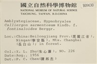 登錄號:B00009630藏品圖，第2張