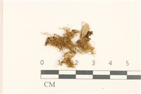 登錄號:B00009633藏品圖，第1張