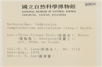 登錄號:B00009634藏品圖，第2張