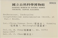 登錄號:B00009638藏品圖，第2張