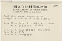 登錄號:B00009642藏品圖，第2張