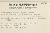 登錄號:B00009645藏品圖，第2張