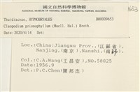 登錄號:B00009653藏品圖，第2張