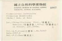 登錄號:B00009655藏品圖，第2張