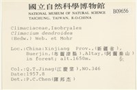 登錄號:B00009656藏品圖，第2張