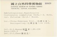 登錄號:B00009659藏品圖，第2張