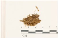 登錄號:B00009659藏品圖，第1張