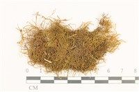 登錄號:B00009660藏品圖，第1張