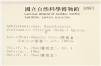 登錄號:B00009672藏品圖，第2張