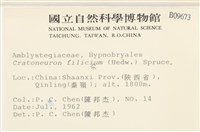 登錄號:B00009673藏品圖，第2張