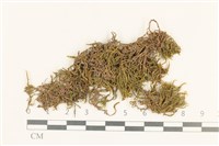 登錄號:B00009673藏品圖，第1張