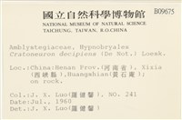 登錄號:B00009675藏品圖，第2張