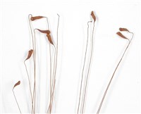 登錄號:B00009783藏品圖，第3張