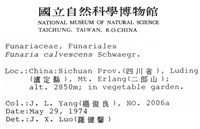 登錄號:B00009784藏品圖，第2張
