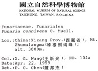 登錄號:B00009785藏品圖，第2張