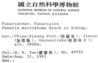 登錄號:B00009786藏品圖，第2張