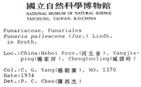 登錄號:B00009787藏品圖，第2張