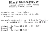 登錄號:B00009788藏品圖，第2張
