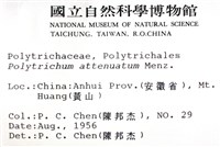 登錄號:B00009948藏品圖，第2張