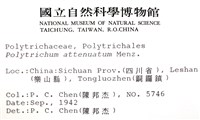 登錄號:B00009982藏品圖，第2張