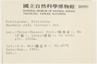 登錄號:B00009993藏品圖，第2張