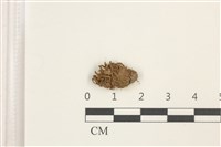 登錄號:B00010000藏品圖，第1張