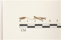 登錄號:B00010002藏品圖，第1張