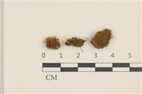 登錄號:B00010008藏品圖，第1張