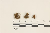 登錄號:B00010009藏品圖，第1張