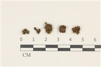 登錄號:B00010010藏品圖，第1張