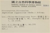 瓶蘚藏品圖，第2張