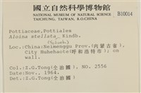 鈍葉蘆薈蘚藏品圖，第2張